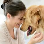 Hund adoptieren: 10 Dinge, die Sie vorher wirklich wissen müssen